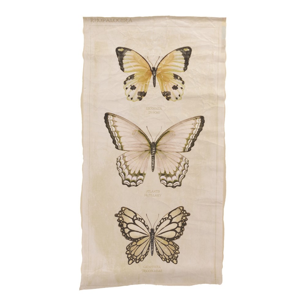 Paper Wall Art - Butterflies IOWTBF
