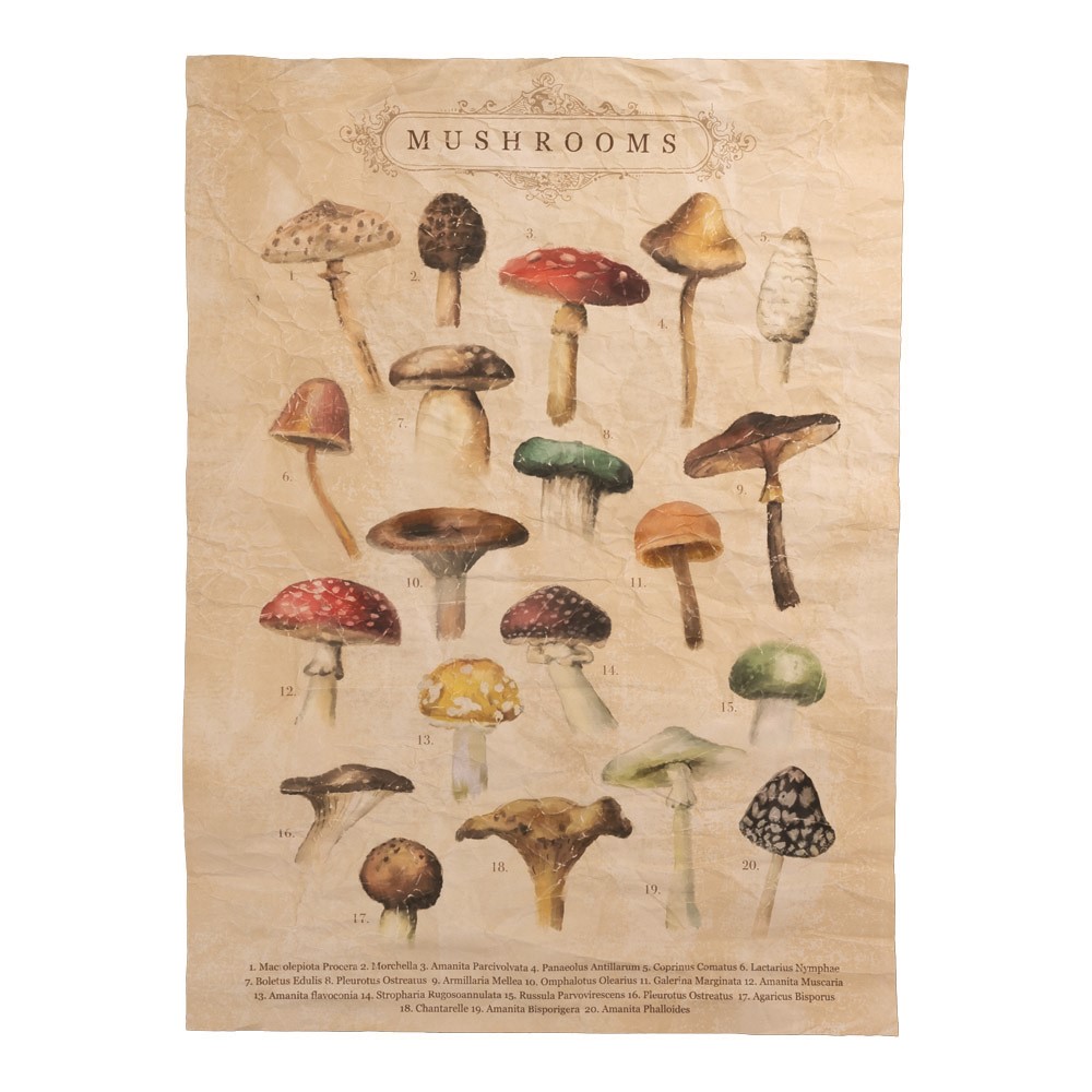 Mushroom Paper Wall Art IOWTMU