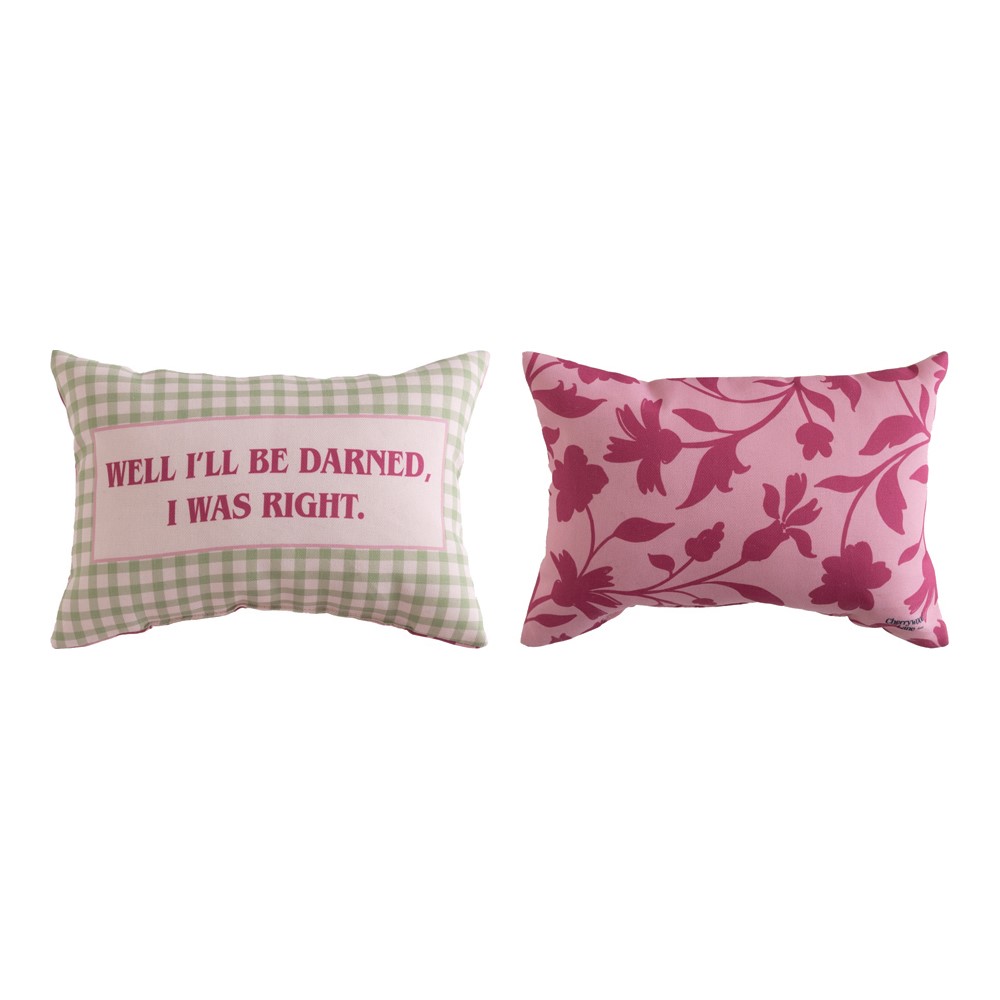 Well I'll Be Darned I Was Right Climaweave Word Pillow SWWIBD