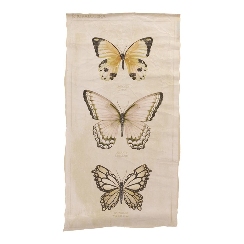 Paper Wall Art - Butterflies IOWTBF