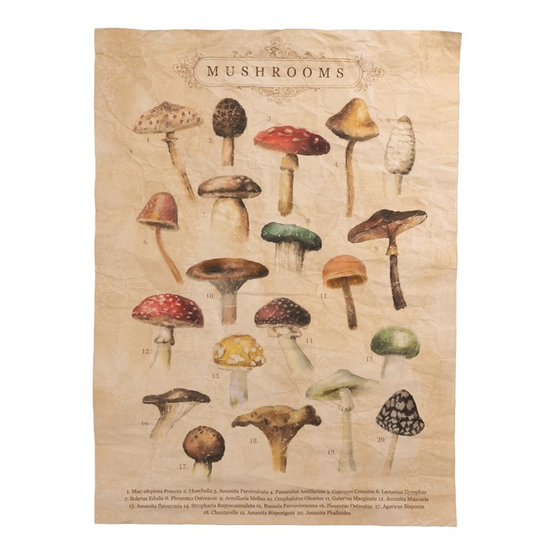 Mushroom Paper Wall Art IOWTMU