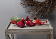 Rouge Polystone Cardinals RMIJCA View 2