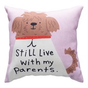 I Still Live With My Parents Climaweave Pillow SDSLV View 2