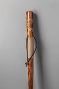 Eagle Walking Stick Walking Stick IWLGEG View 3
