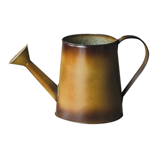 Metal Watering Can Fall Brown IMFSWF